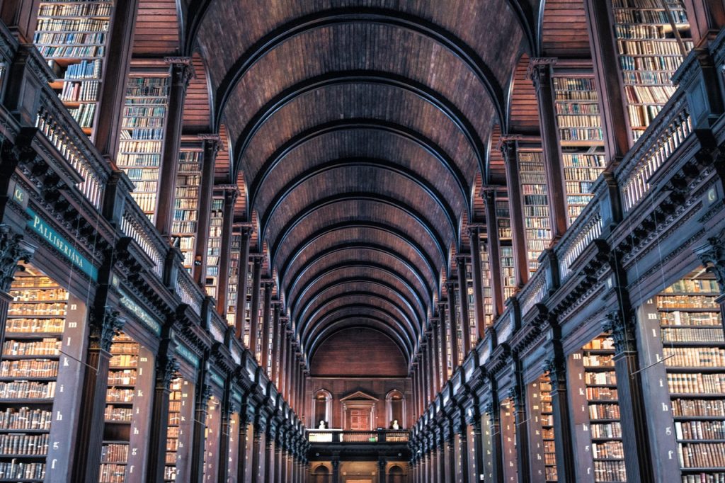 Akashic Record is stored in our universe(s) as if those books are stored in libraries. Akashic Record reading is fetching information from its library.
Photo by Skitterphoto from Pexels